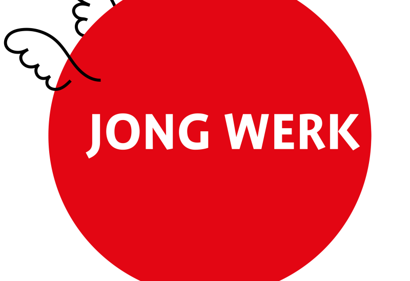 (c) KOPERGIETERY Jong Werk