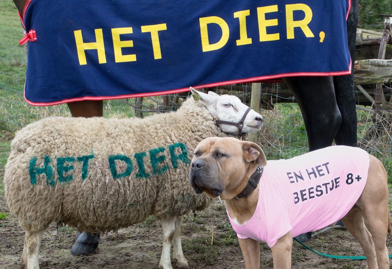 (c) Henk Claassen